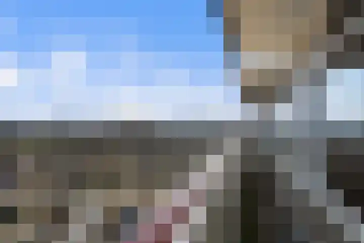 Akkerwinde 306 Capelle aan den IJssel thumbnail 29