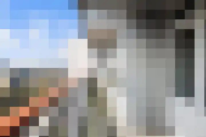 Akkerwinde 306 Capelle aan den IJssel thumbnail 33