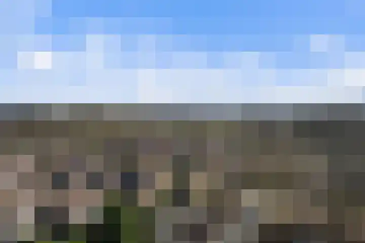 Akkerwinde 306 Capelle aan den IJssel thumbnail 35