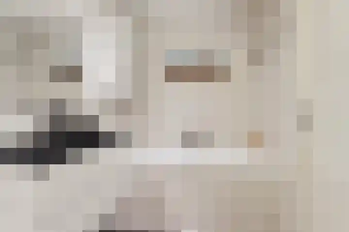Akkerwinde 31 Lent thumbnail 26