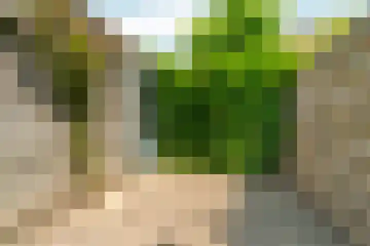Akkerwinde 31 Lent thumbnail 37