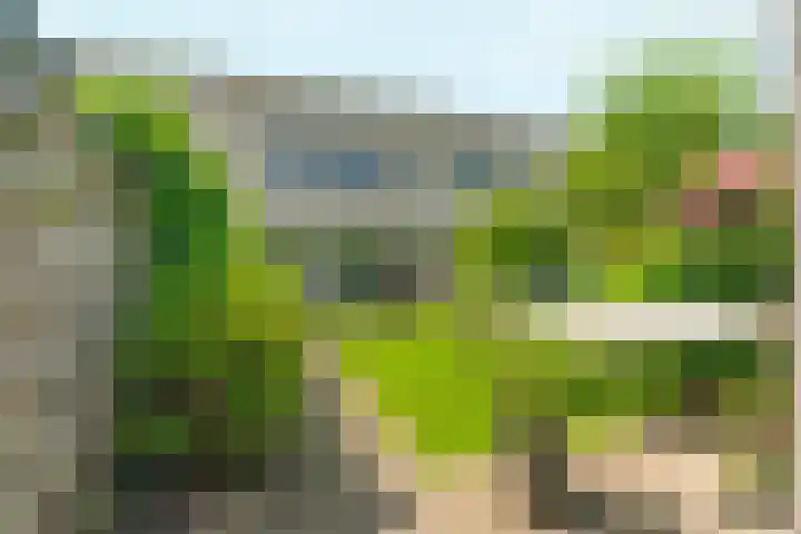 Akkerwinde 31 Lent thumbnail 38
