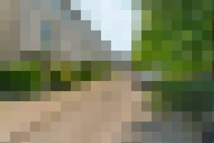 Akkerwinde 31 Lent thumbnail 42
