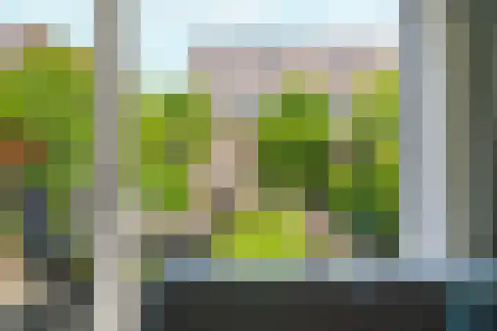 Akkerwinde 31 Lent thumbnail 6