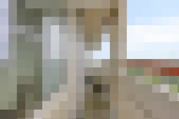 Akkerwinde 311 Capelle aan den IJssel thumbnail 17