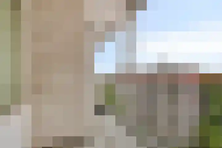 Akkerwinde 311 Capelle aan den IJssel thumbnail 18