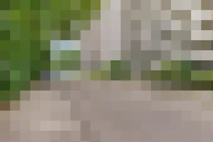 Akkerwinde 311 Capelle aan den IJssel thumbnail 27