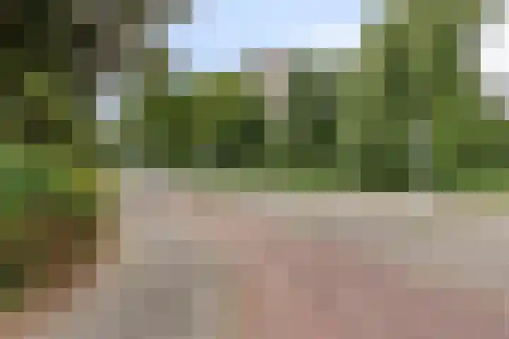 Akkerwinde 311 Capelle aan den IJssel thumbnail 28