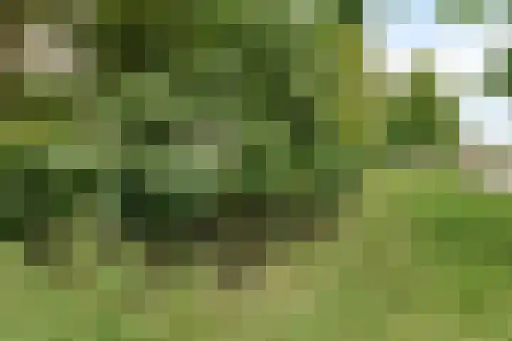 Akkerwinde 311 Capelle aan den IJssel thumbnail 29