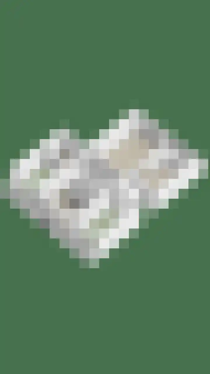 Akkerwinde 311 Capelle aan den IJssel thumbnail 30