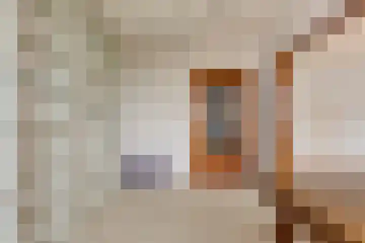Akkerwinde 311 Capelle aan den IJssel thumbnail 8