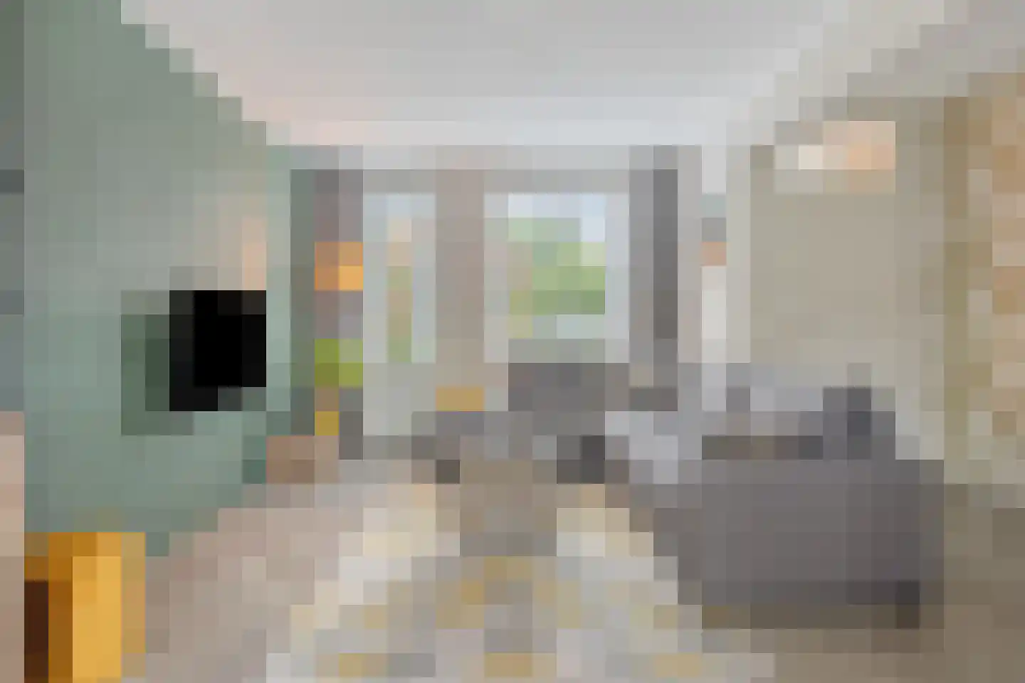 Akkerwinde 33 Best thumbnail 13