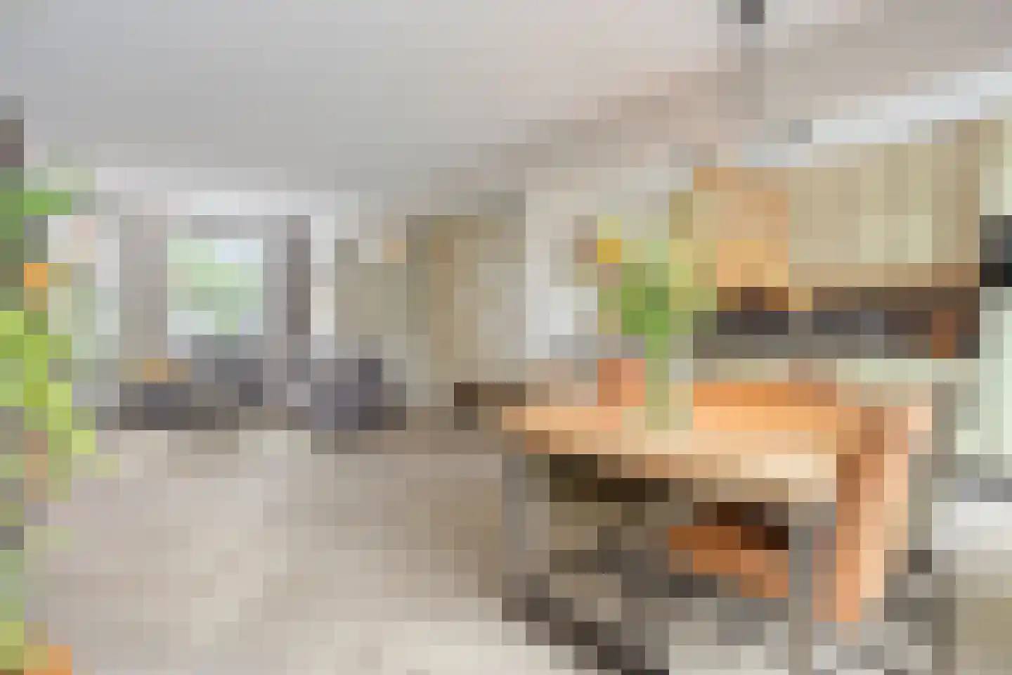 Akkerwinde 33 Best thumbnail 16
