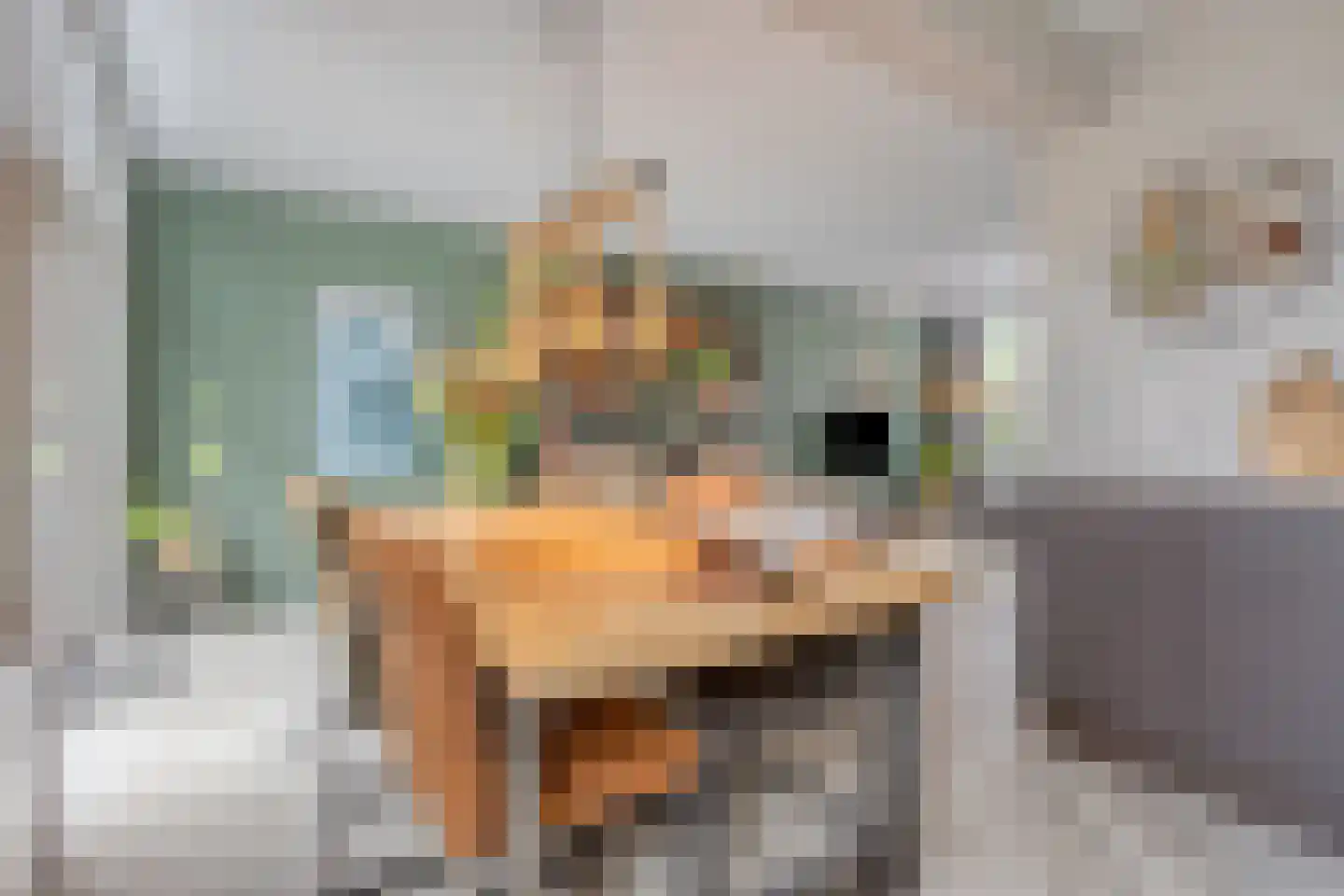 Akkerwinde 33 Best thumbnail 17