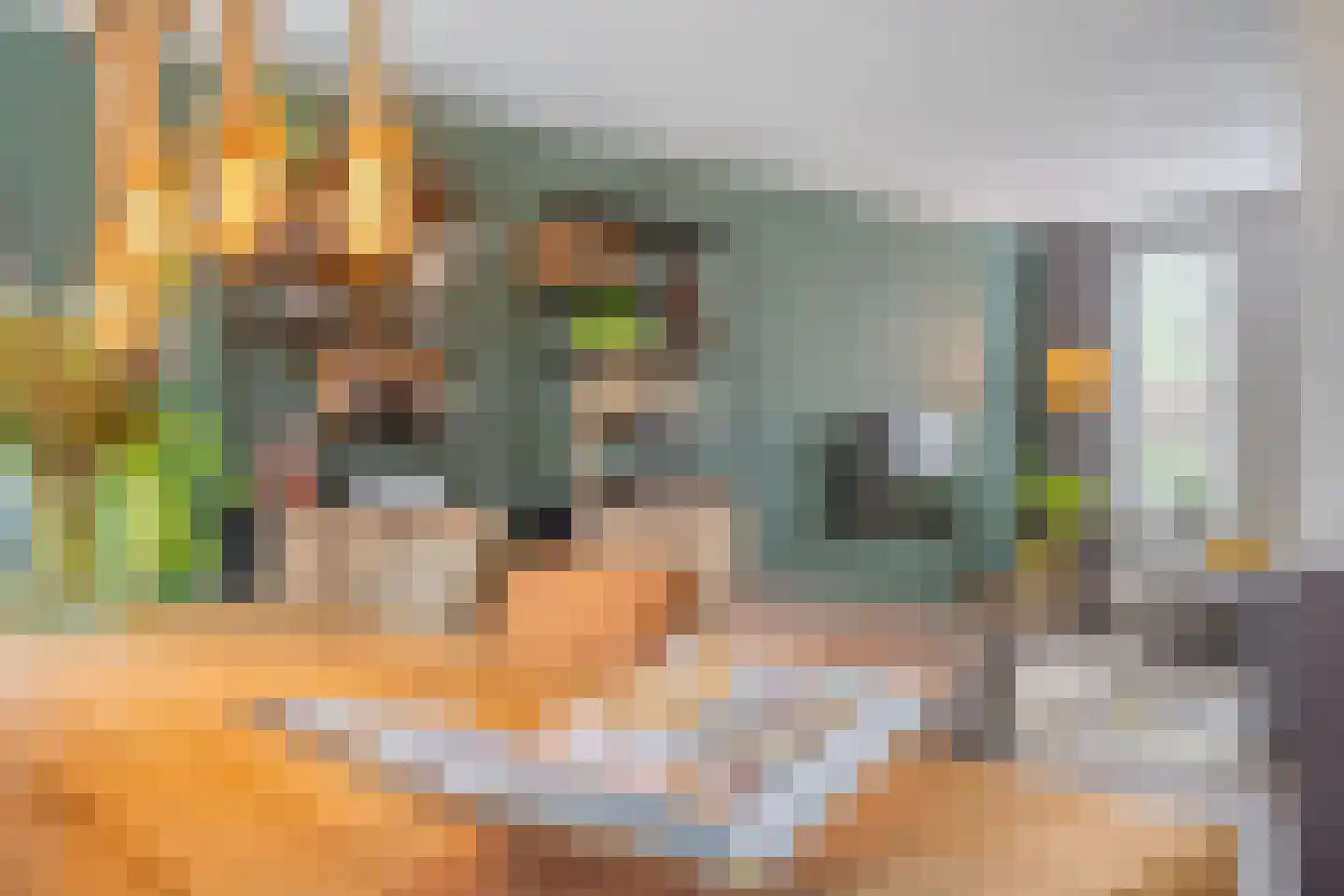 Akkerwinde 33 Best thumbnail 21