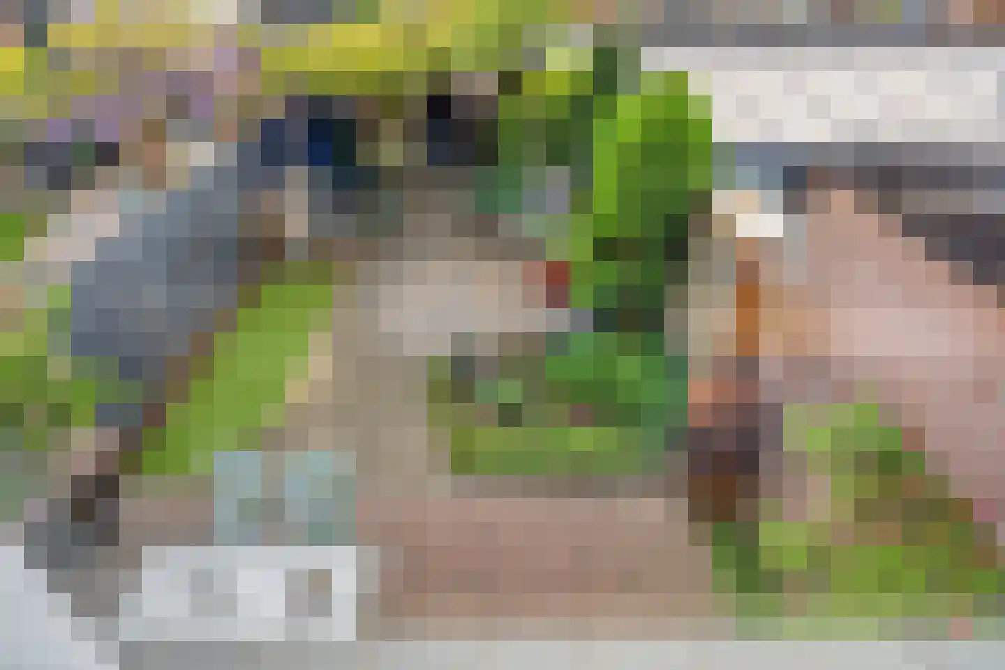 Akkerwinde 33 Best thumbnail 27