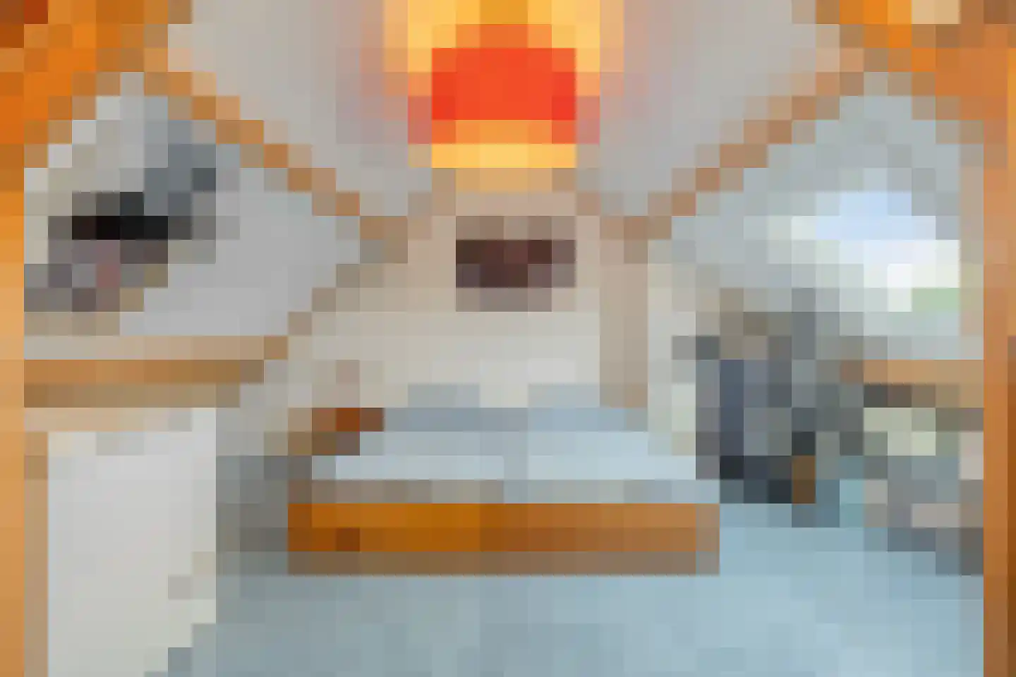 Akkerwinde 33 Best thumbnail 33