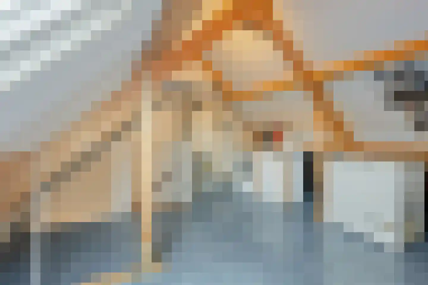 Akkerwinde 33 Best thumbnail 35