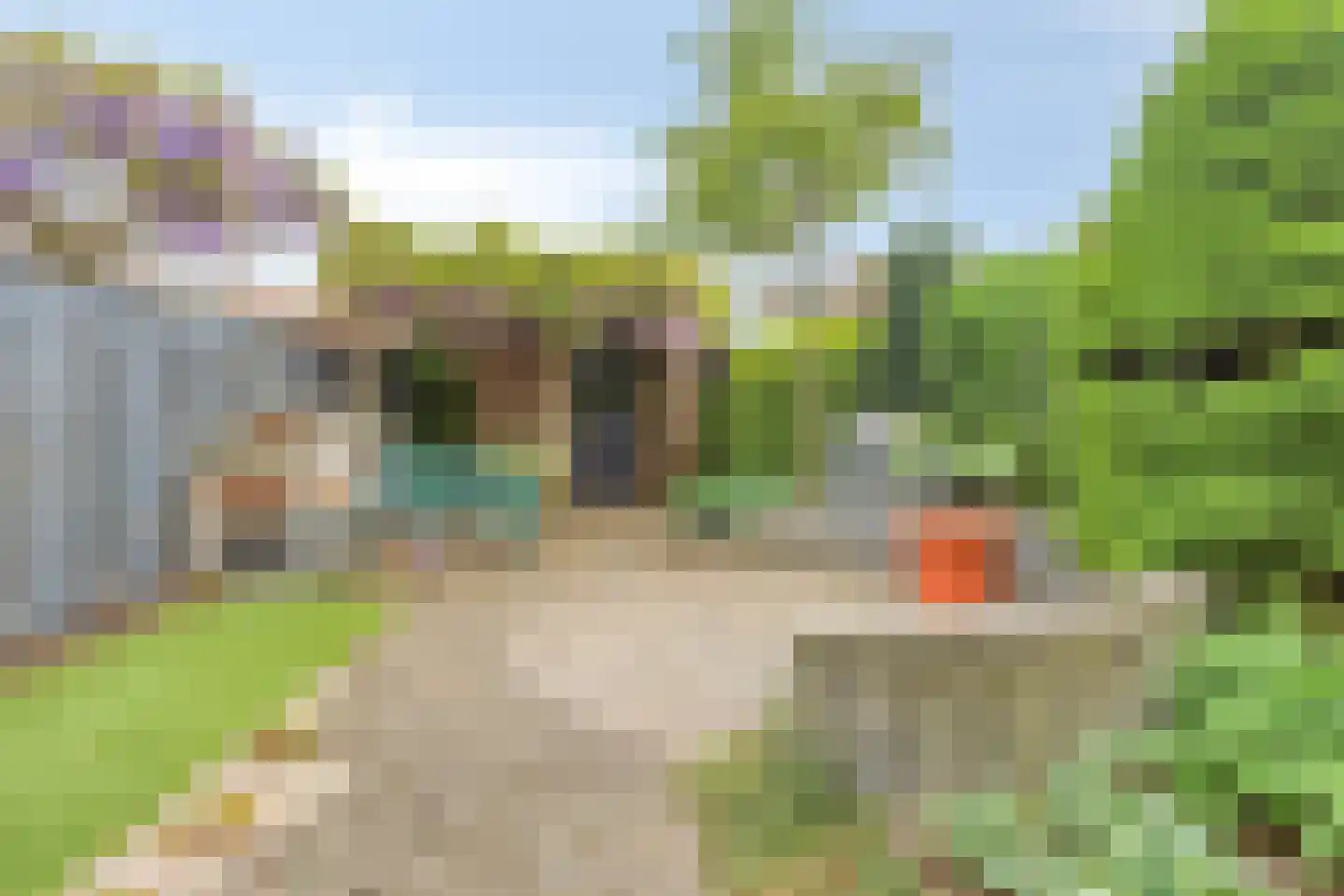 Akkerwinde 33 Best thumbnail 38