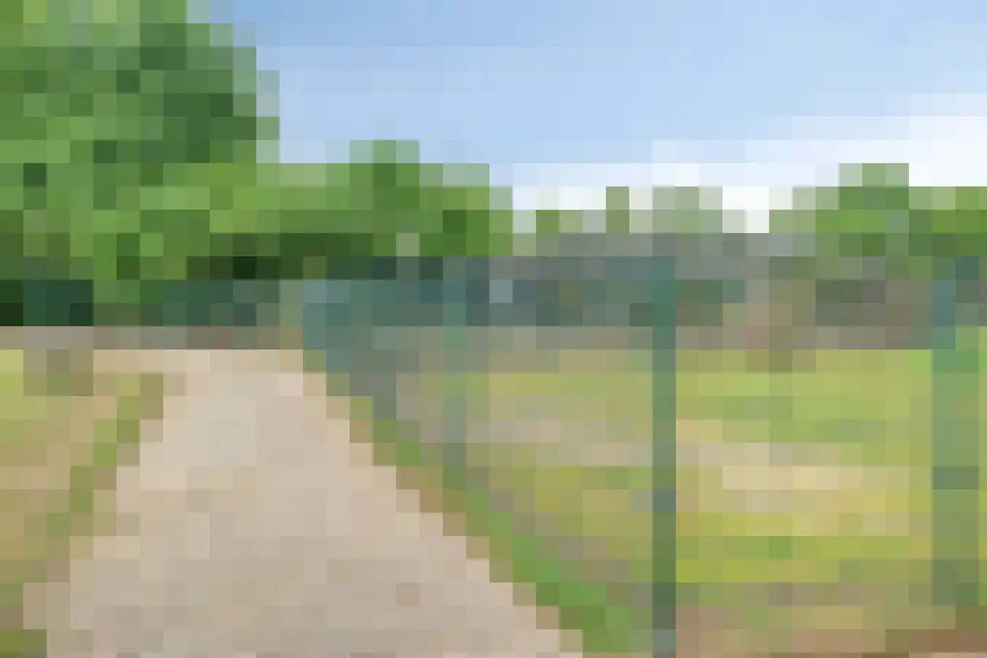 Akkerwinde 33 Best thumbnail 41