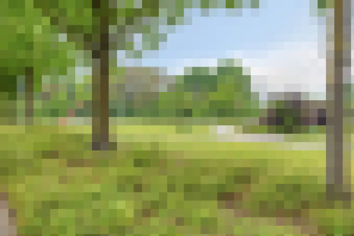 Akkerwinde 33 Best thumbnail 42