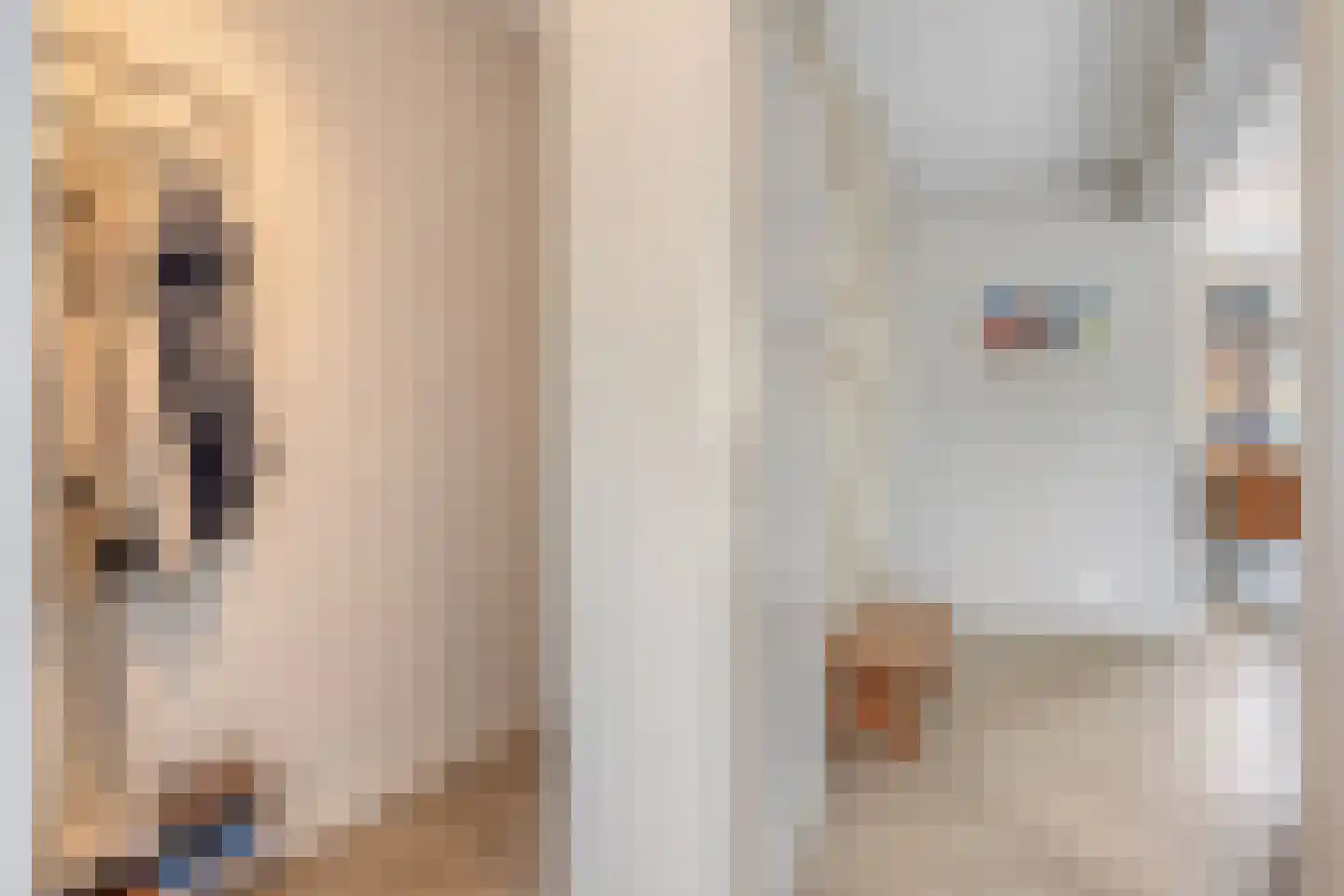 Akkerwinde 33 Best thumbnail 8