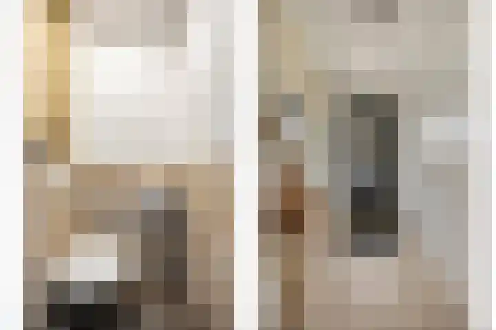 Akkerwinde 33 Dongen thumbnail 11
