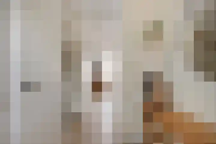 Akkerwinde 33 Dongen thumbnail 12