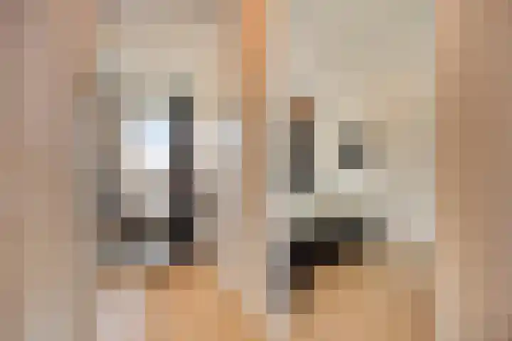 Akkerwinde 33 Dongen thumbnail 15