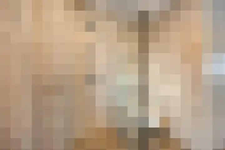 Akkerwinde 33 Dongen thumbnail 18