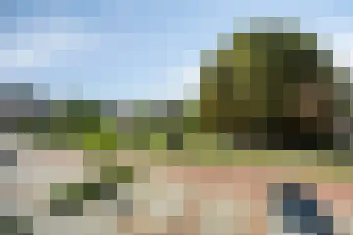 Akkerwinde 33 Dongen thumbnail 20