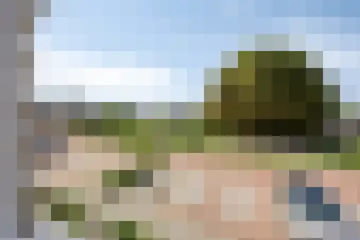 Akkerwinde 33 Dongen thumbnail 21