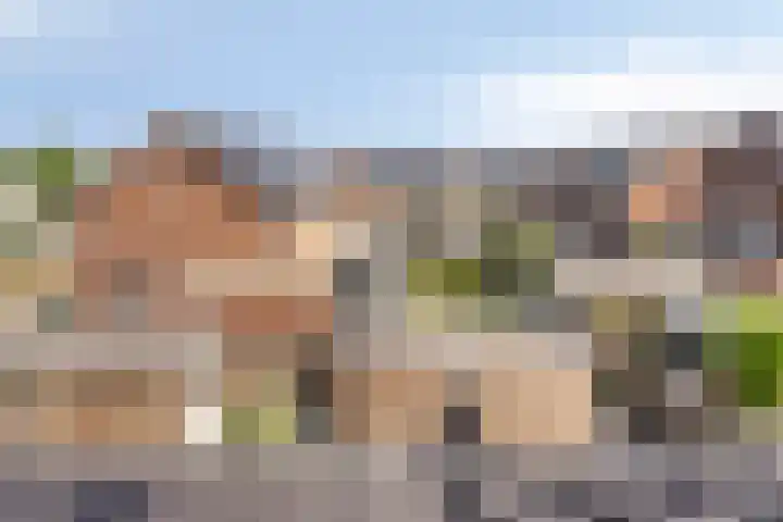 Akkerwinde 33 Dongen thumbnail 22