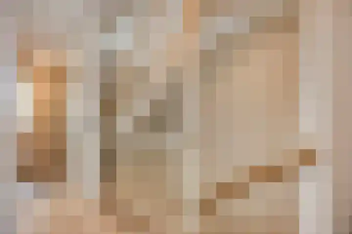 Akkerwinde 33 Dongen thumbnail 23