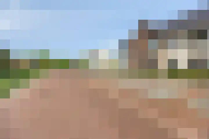 Akkerwinde 33 Dongen thumbnail 28