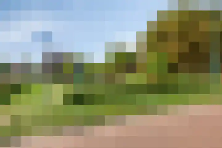 Akkerwinde 33 Dongen thumbnail 31