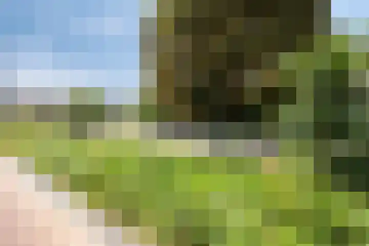 Akkerwinde 33 Dongen thumbnail 32