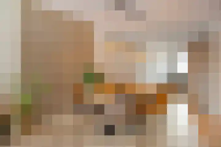 Akkerwinde 33 Dongen thumbnail 6