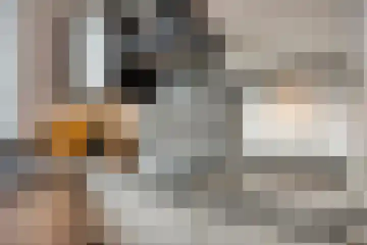 Akkerwinde 33 Dongen thumbnail 8