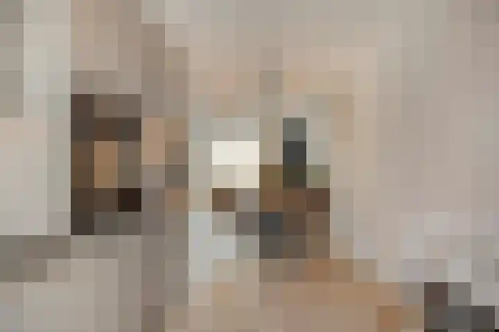 Akkerwinde 33 Dongen thumbnail 9