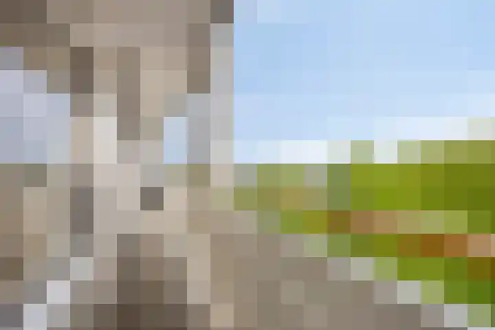 Akkerwinde 333 Capelle aan den IJssel thumbnail 13