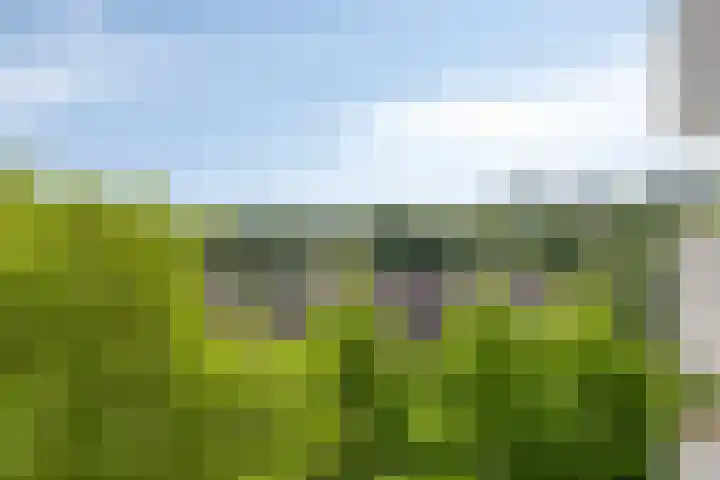 Akkerwinde 333 Capelle aan den IJssel thumbnail 15