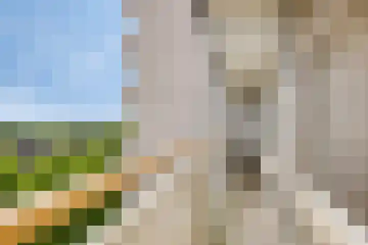 Akkerwinde 333 Capelle aan den IJssel thumbnail 16