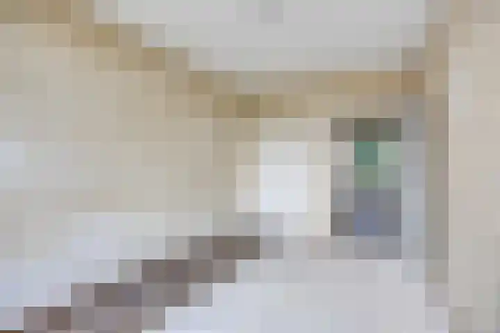 Akkerwinde 333 Capelle aan den IJssel thumbnail 19