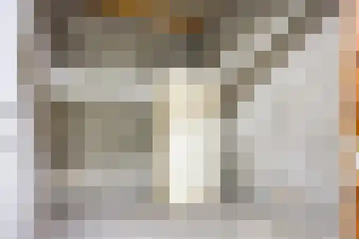 Akkerwinde 333 Capelle aan den IJssel thumbnail 32