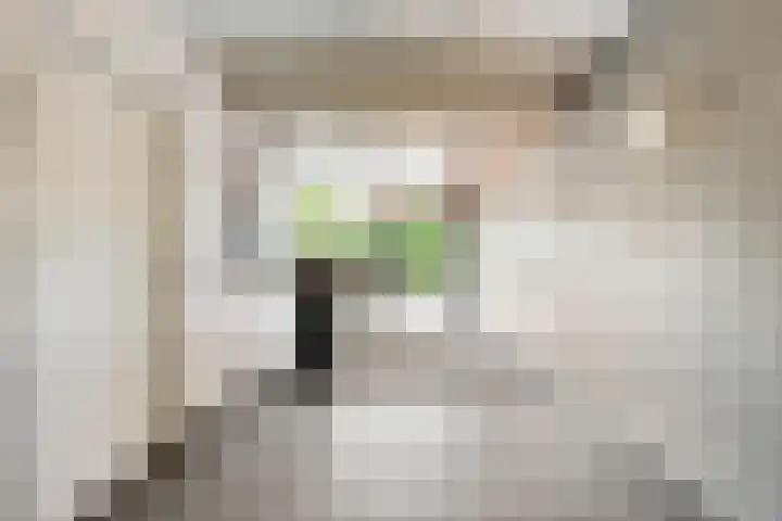 Akkerwinde 333 Capelle aan den IJssel thumbnail 33