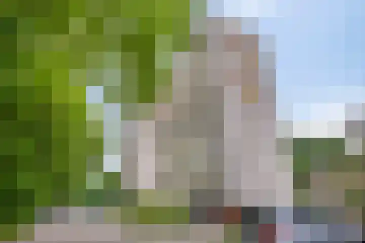Akkerwinde 333 Capelle aan den IJssel thumbnail 34