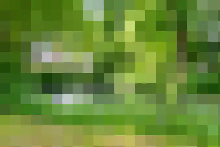 Akkerwinde 333 Capelle aan den IJssel thumbnail 36