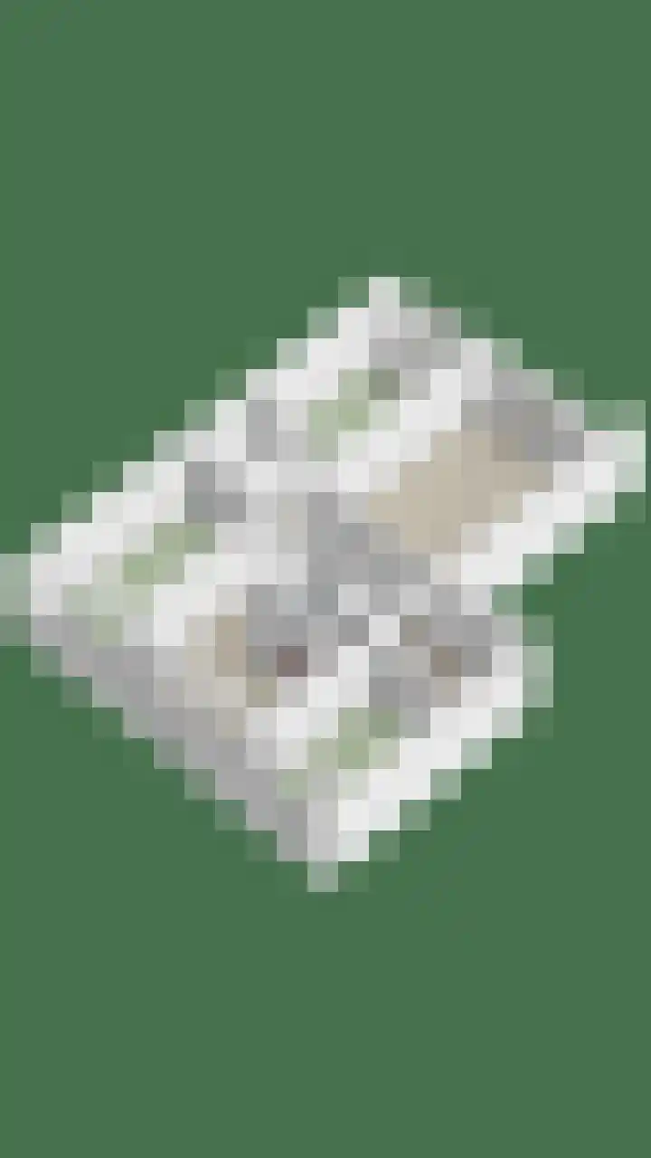 Akkerwinde 333 Capelle aan den IJssel thumbnail 37