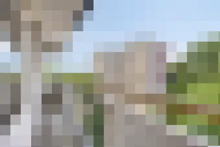 Akkerwinde 333 Capelle aan den IJssel thumbnail 4